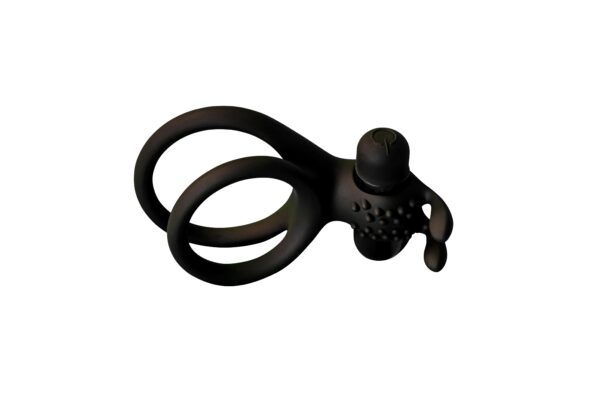 Traveler - Image 2
