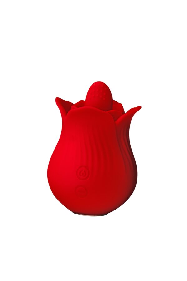 E10 - Image 4