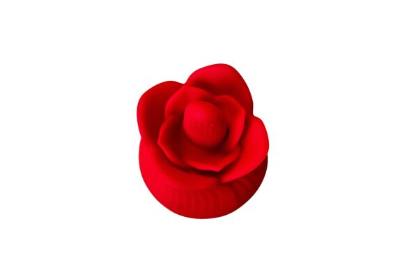 E10 - Image 5