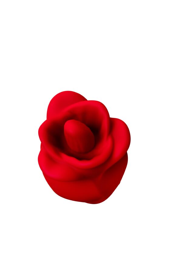 E12 - Image 2