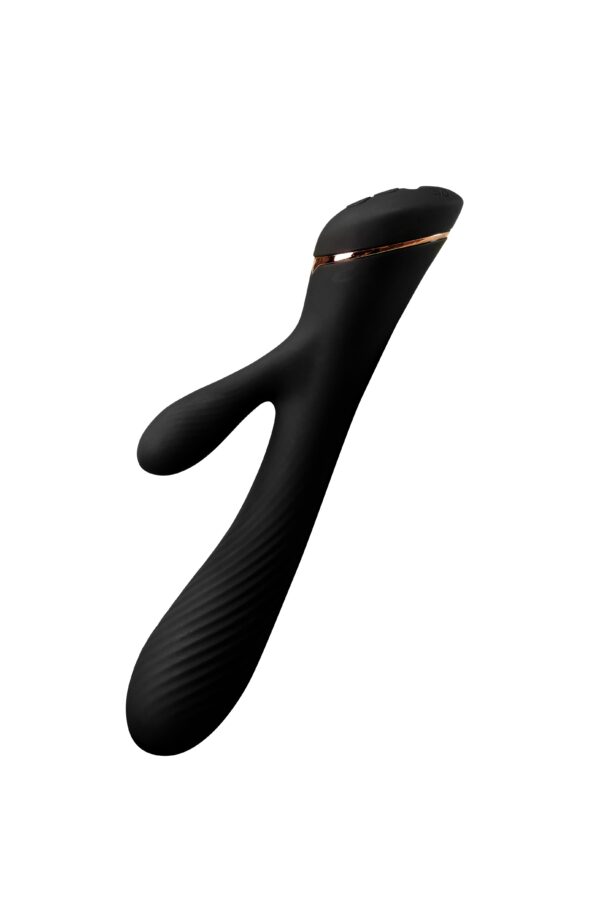 V25 - Image 2