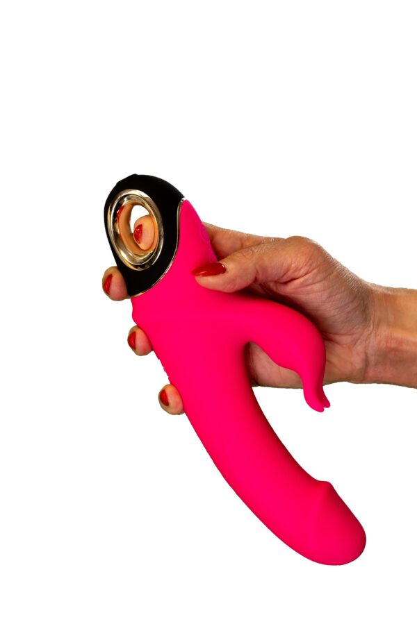 Meteror Rose - Image 4