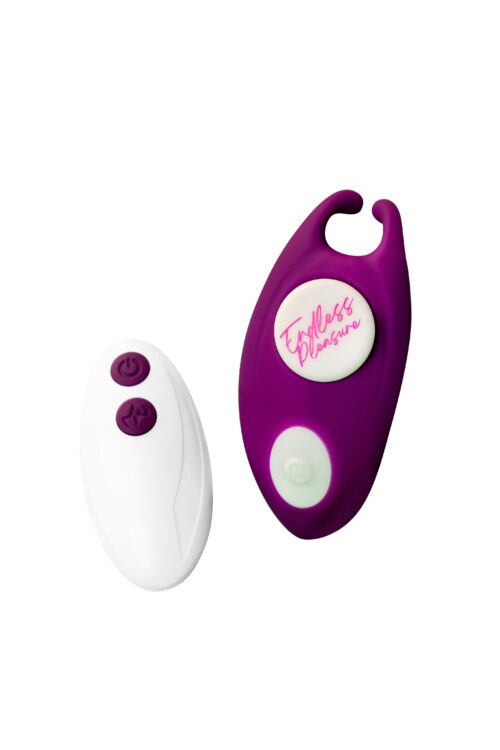 Honeybee Remote Purple