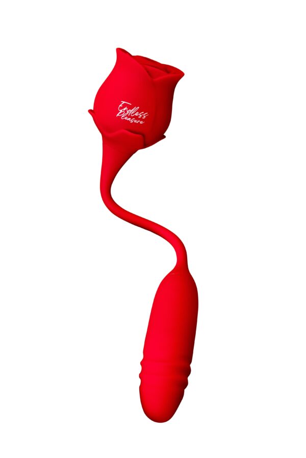 USK-E08RoseknightRED1N7A8563.jpg Rose Knight