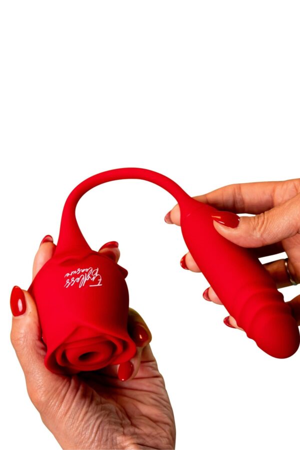 USK-E08RoseknightRED1N7A8567.jpg Rose Knight