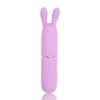 Nauti Petites 10 Speed Rabbit Ears Bullet Vibrator