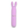 Nauti Petites 10 Speed Rabbit Ears Bullet Vibrator