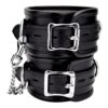 BOUND Leather Ankle Restraints