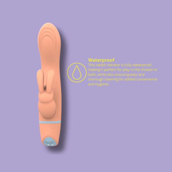 n12559-mina-thrill-g-spot-rabbit-vibrator-faq-4 Mina Thrill G-Spot Rabbit Vibrator