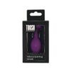 Toosh Purple Silicone Butt Plug Small